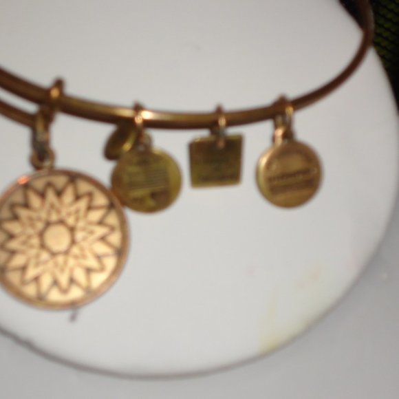 Alex and Ani Sun Bracelet - Picture 7 of 9